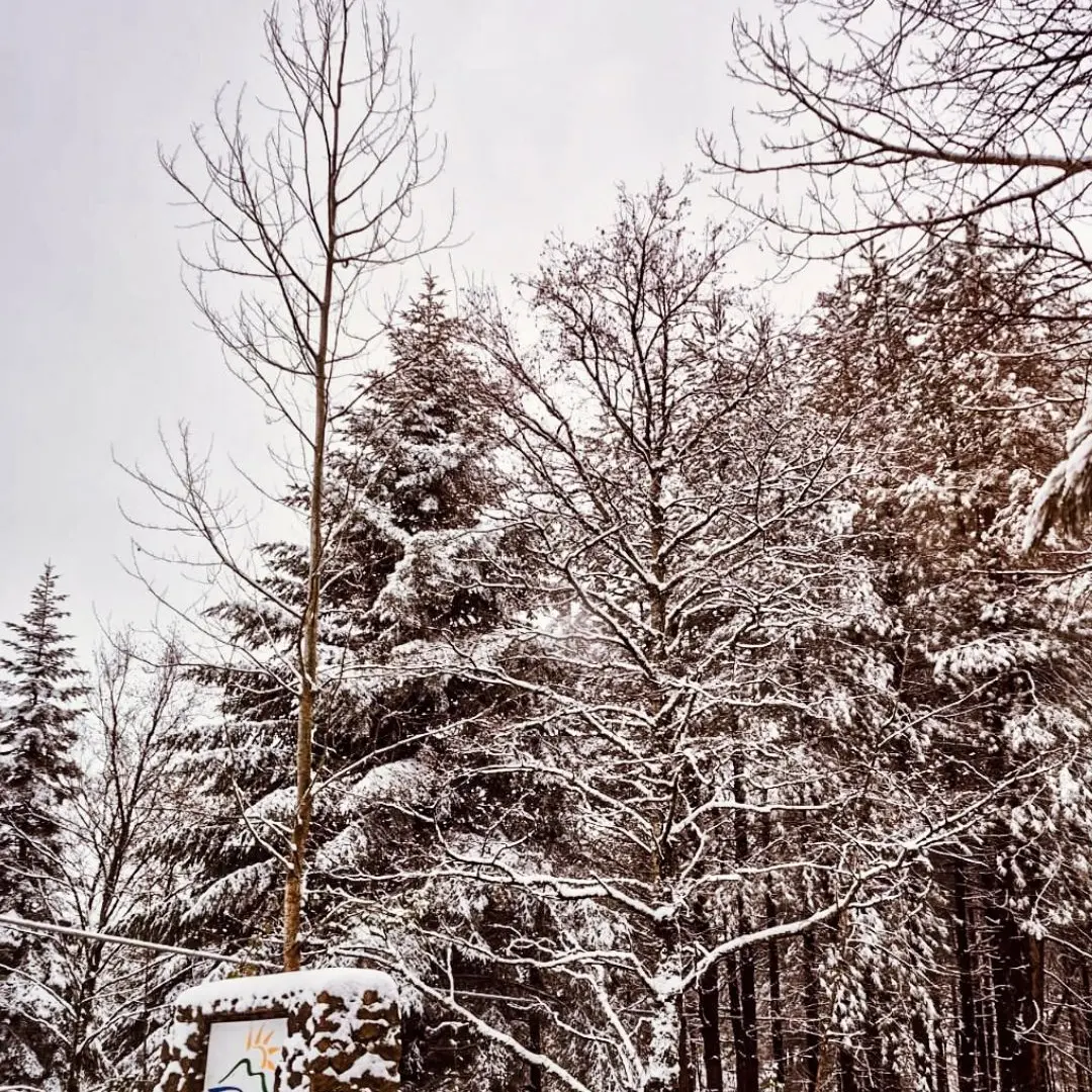 Il primo abbraccio dell'inverno\n