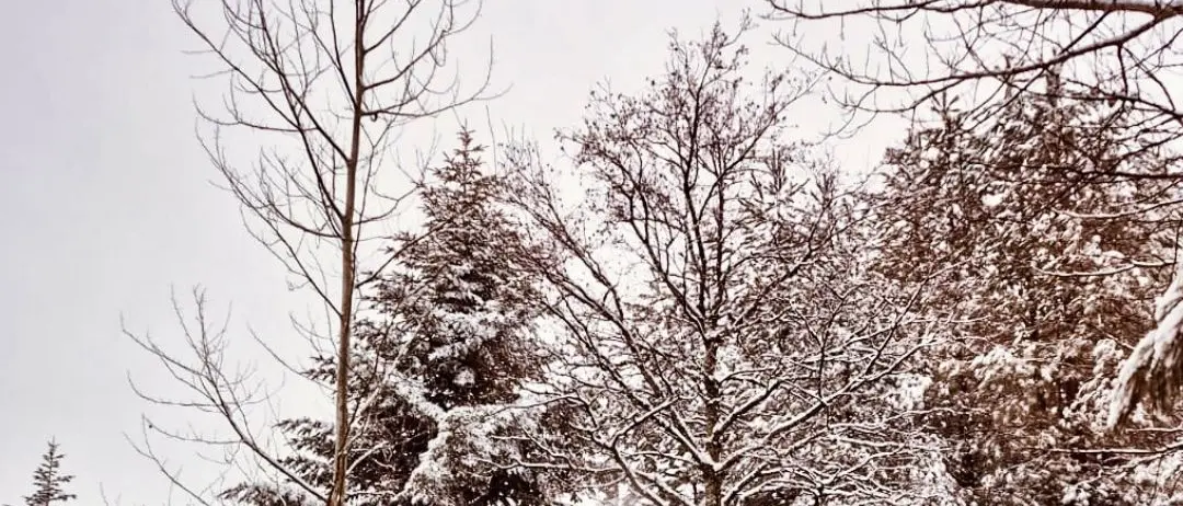 Il primo abbraccio dell'inverno\n
