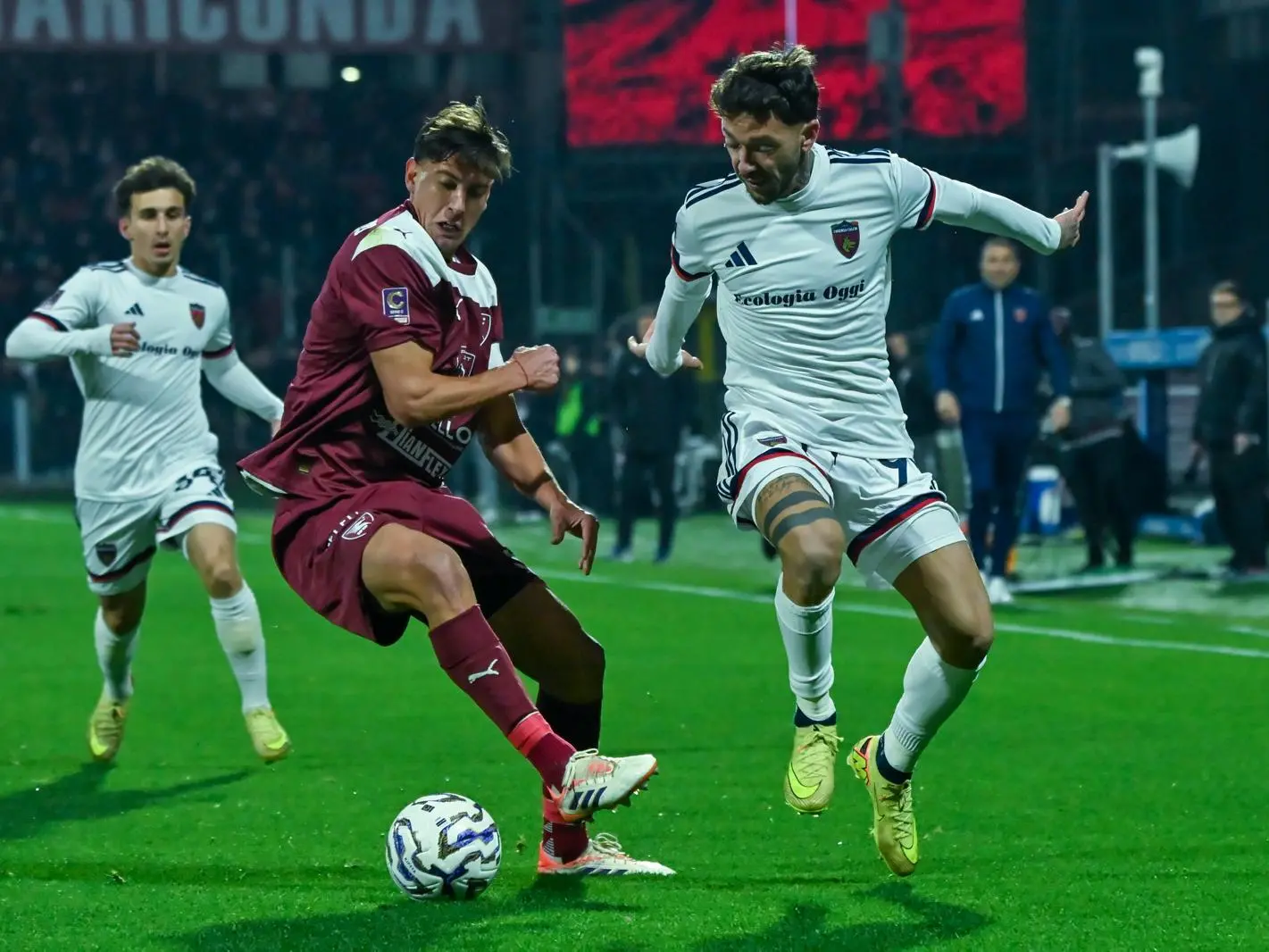 Salernitana-Cosenza, Vettorel protagonista ma l'attacco punge poco