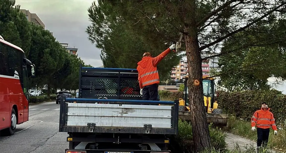 Rende, l’amministrazione: «Tutte le risorse possibili sulla manutenzione dopo 10 anni di vuoto»\n