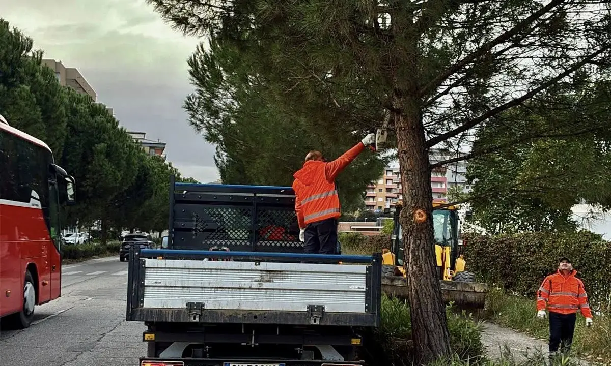 Rende, l’amministrazione: «Tutte le risorse possibili sulla manutenzione dopo 10 anni di vuoto»\n