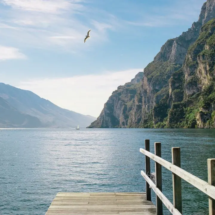 La ’ndrangheta sul lago di Garda, sequestrate tre società con un patrimonio di 30 milioni: una produce e vende vino\n