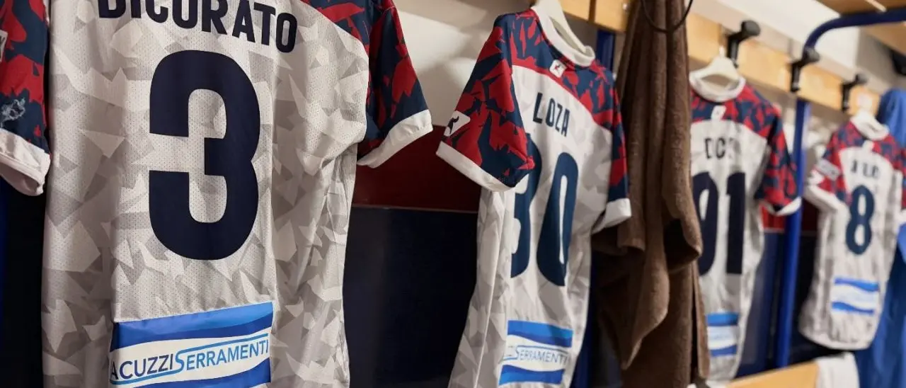 Per la Vibonese è il momento più buio:\u00A0dopo le dimissioni del tecnico tutto da rifare per salvare stagione e faccia\n