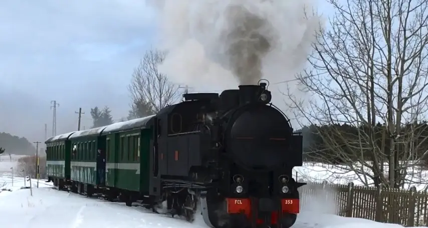 Treno della Sila incompiuto, l’appello di Belcastro alla Regione: «Ripristinare subito i finanziamenti»\n
