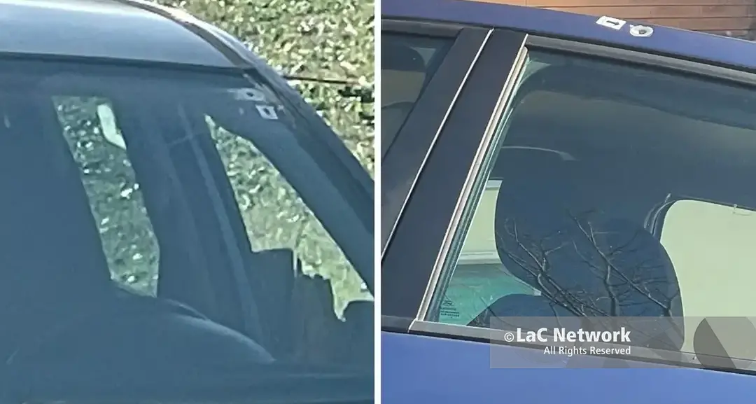 Omicidio a Cosenza, la confessione: «Ho ucciso Carbone per sbaglio, volevo solo spaventarlo»\n