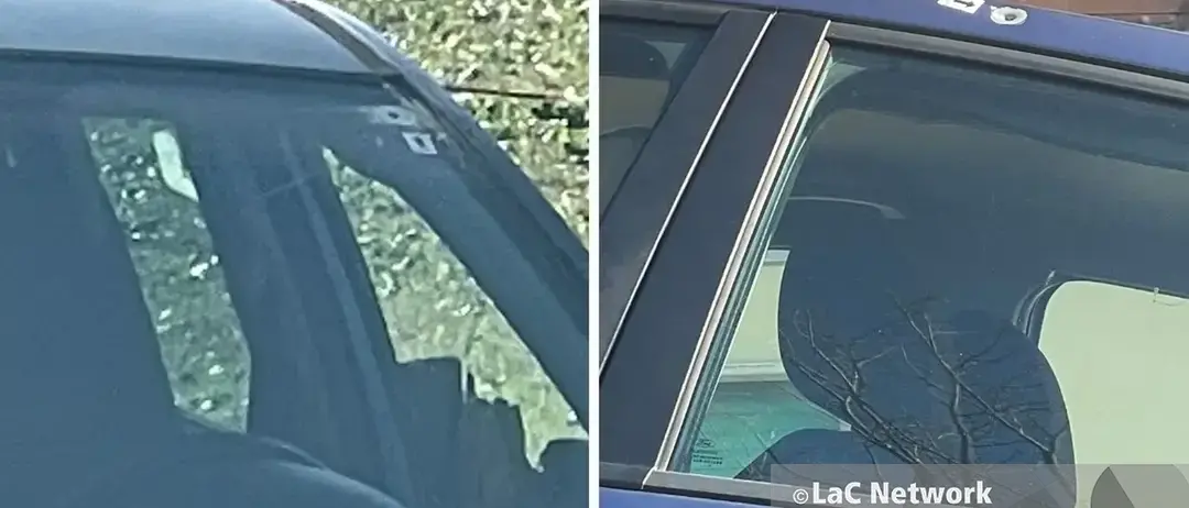 Omicidio a Cosenza, la confessione: «Ho ucciso Carbone per sbaglio, volevo solo spaventarlo»\n