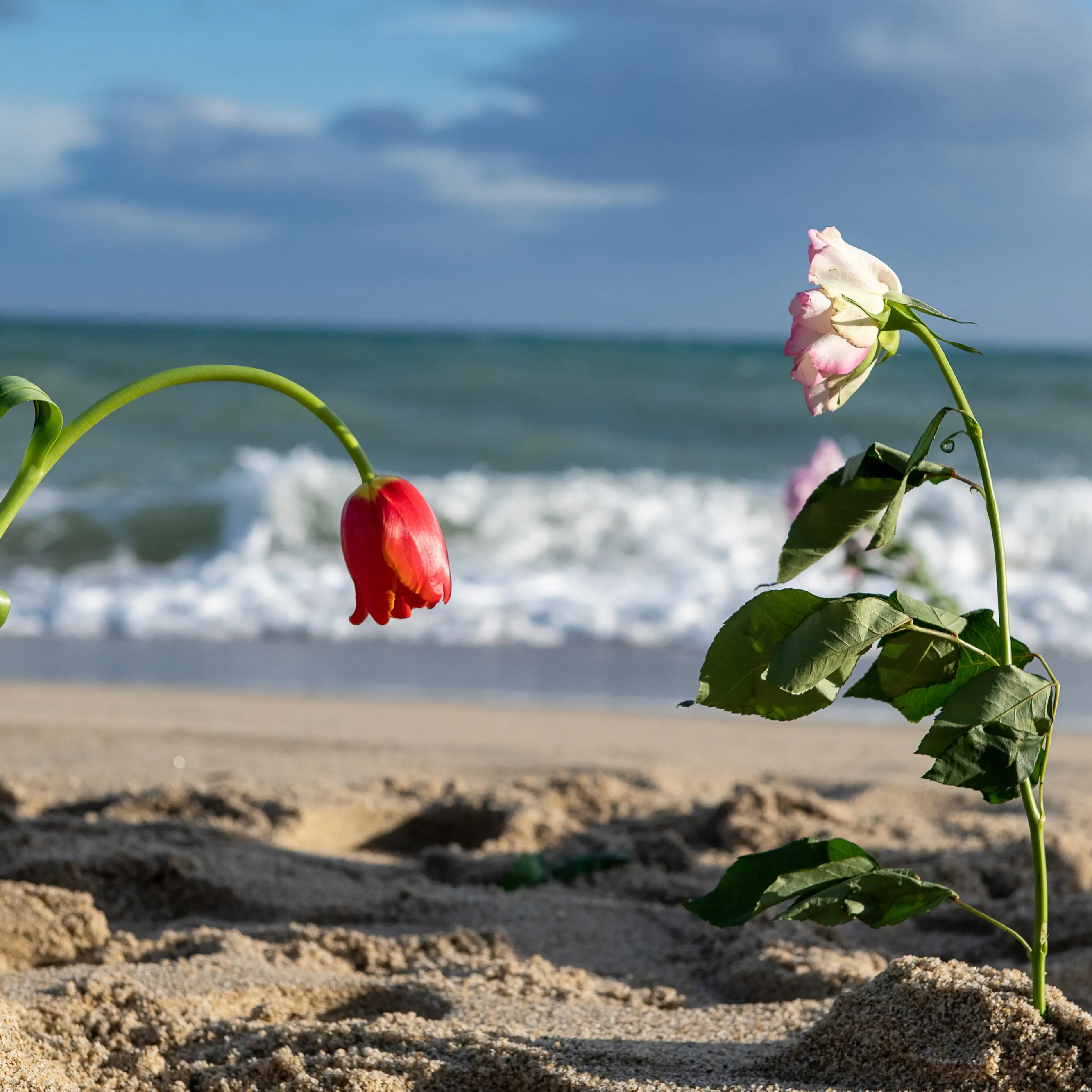 Naufragio di Cutro, rinviato il processo sui ritardi nei soccorsi: tra gli imputati il comandante del Roan di Vibo