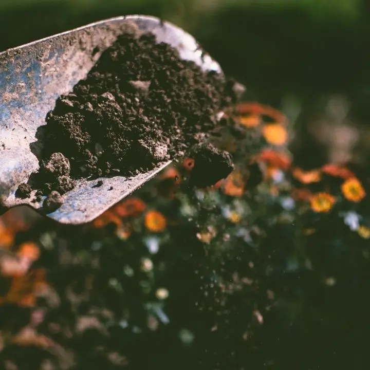 Bella cosa il compostaggio, ma come si fa? A\u00A0Vibo partono corsi gratuiti del Comune\u00A0con possibili sgravi sulla Tari\n