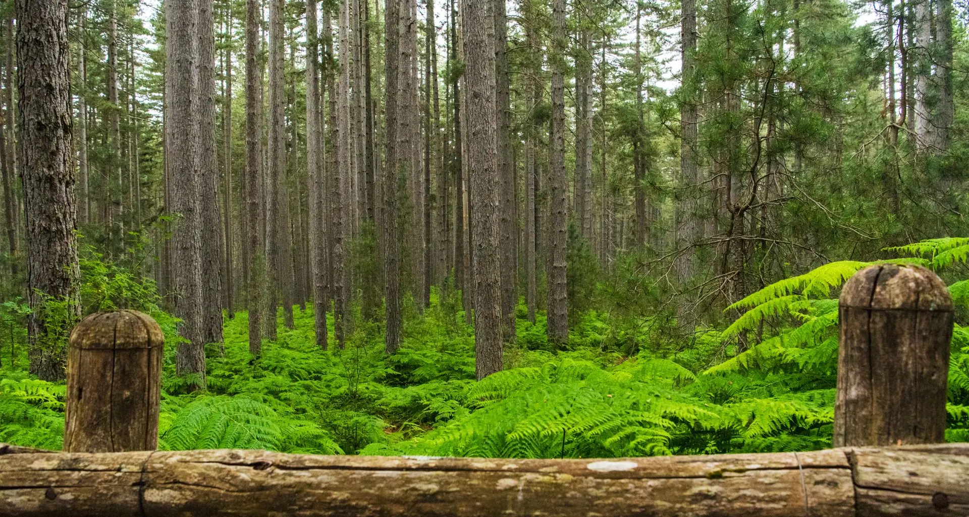 “Montagna vera” o montagna esclusa: i professori scrivono a Calderoli\n