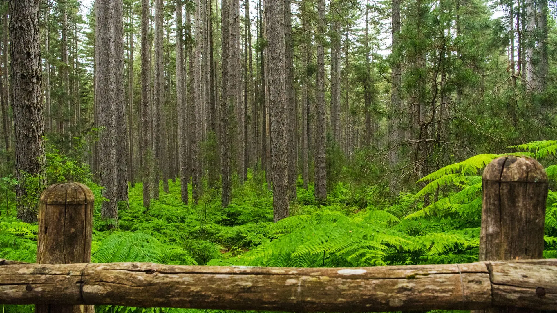 “Montagna vera” o montagna esclusa: i professori scrivono a Calderoli\n