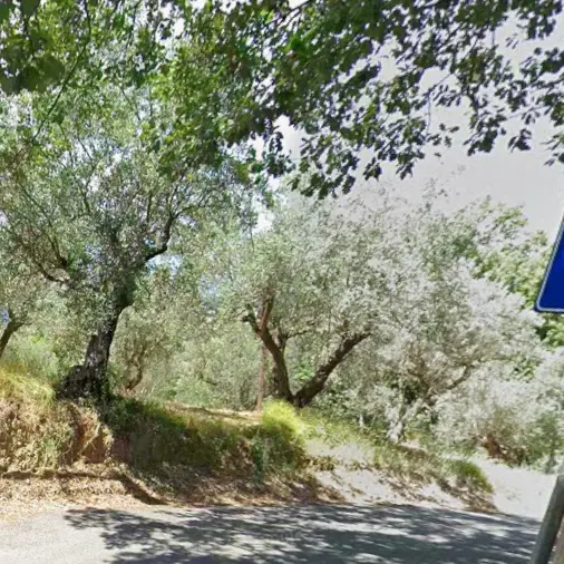 Contrada Muoio Piccolo tra degrado e crescita urbana: l’appello di Perugini\n