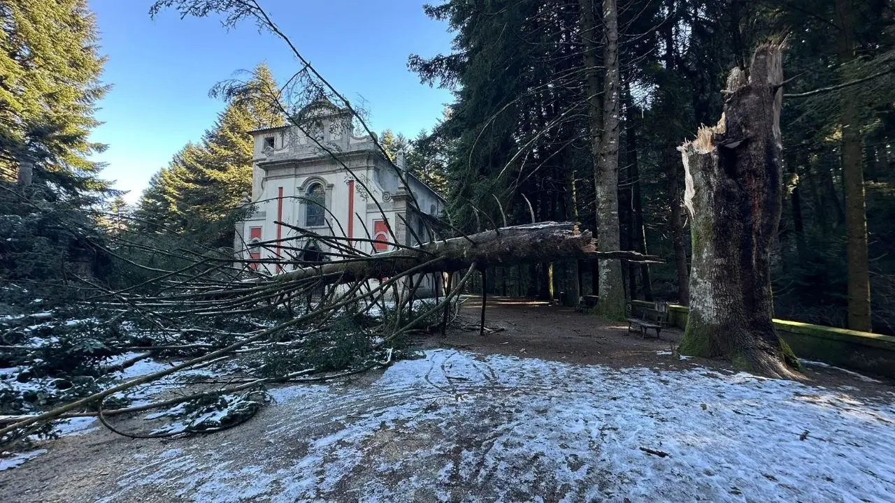 foto di Saverio Caracciolo