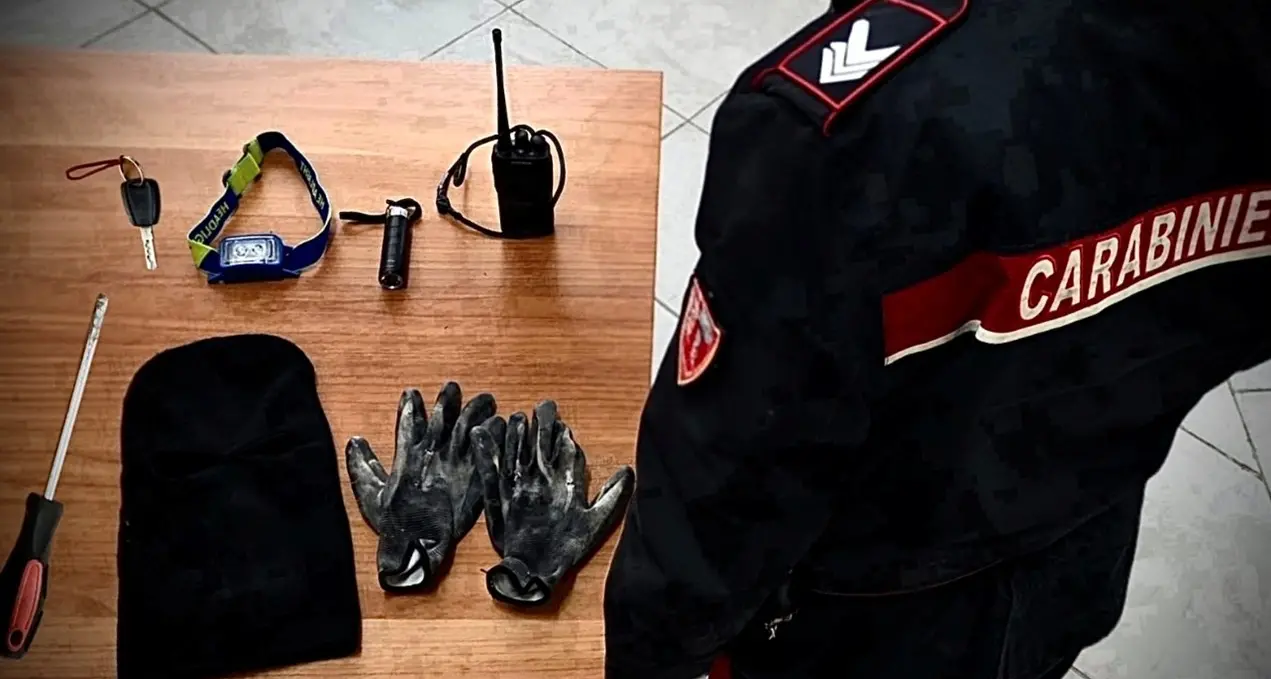 Con il passamontagna nelle Cantine Lento di Lamezia Terme, l’arrivo dei carabinieri li mette in fuga: arrestato un 42enne\n