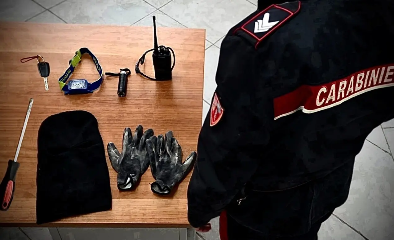 Con il passamontagna nelle Cantine Lento di Lamezia Terme, l’arrivo dei carabinieri li mette in fuga: arrestato un 42enne\n