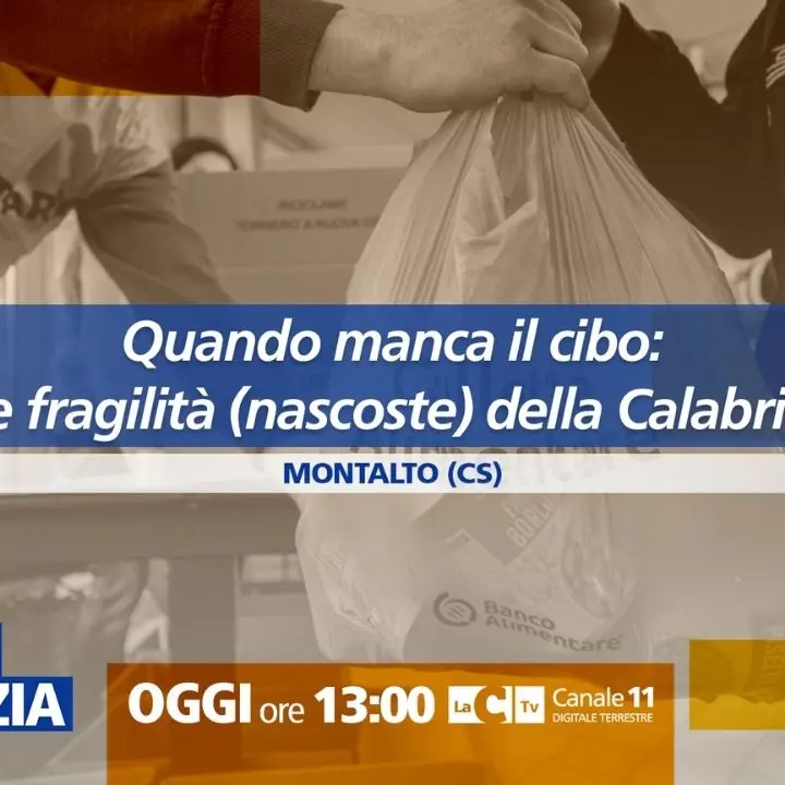 Il volto solidale della Calabria, l’impegno del Banco Alimentare contro la povertà: oggi a Dentro la Notizia\n