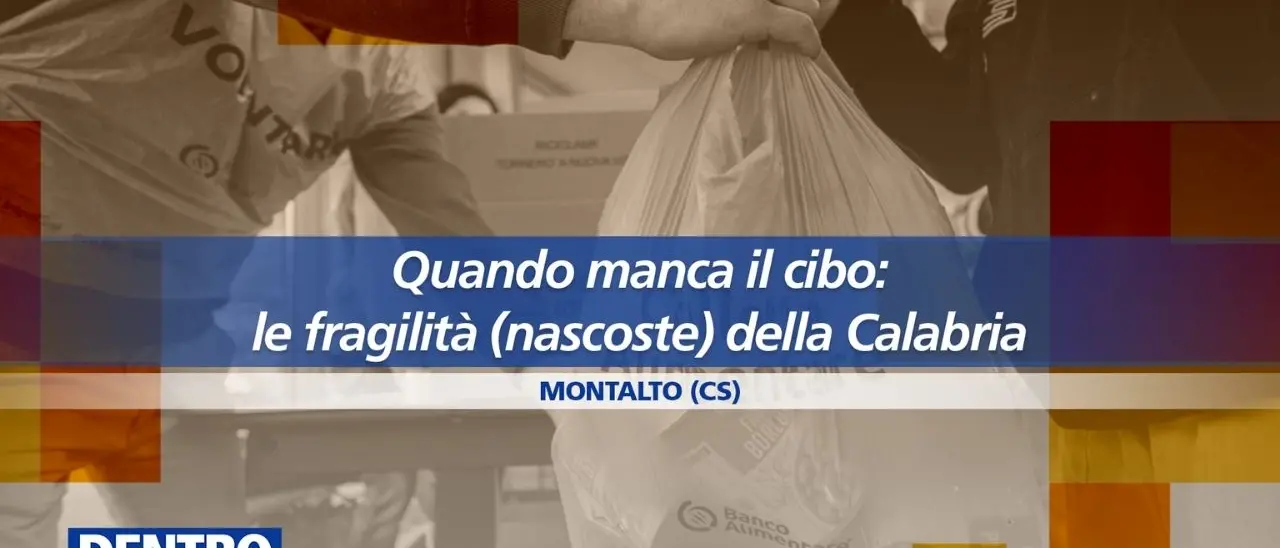 Il volto solidale della Calabria, l’impegno del Banco Alimentare contro la povertà: oggi a Dentro la Notizia\n