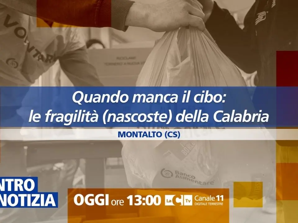 Il volto solidale della Calabria, l’impegno del Banco Alimentare contro la povertà: oggi a Dentro la Notizia