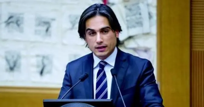 La solidarietà di Falcomatà a Patrizia Rodi Morabito: «Vittima dell'ennesimo gesto criminale che colpisce l'intera comunità della Piana e dell'area metropolitana»\n