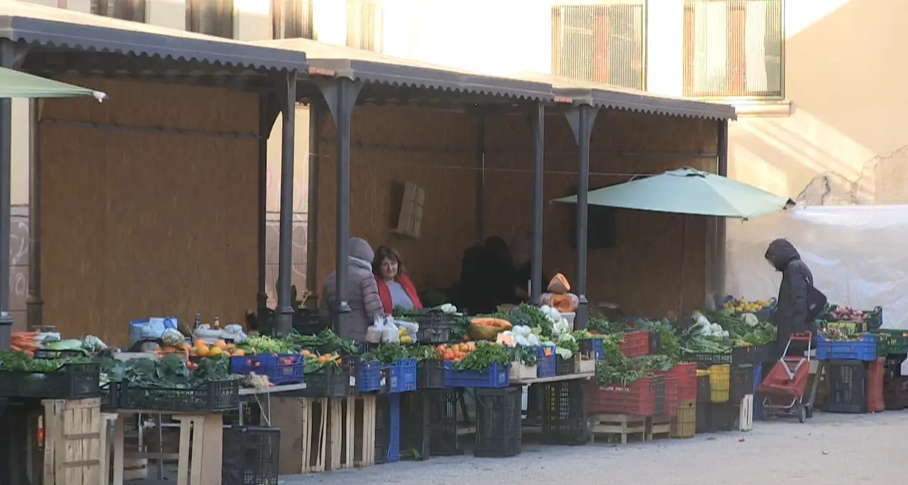 Vibo, il mercato ortofrutticolo “provvisorio” resiste tra freddo e attese: «Qui da un anno e mezzo. Quando torneremo al coperto?»\n