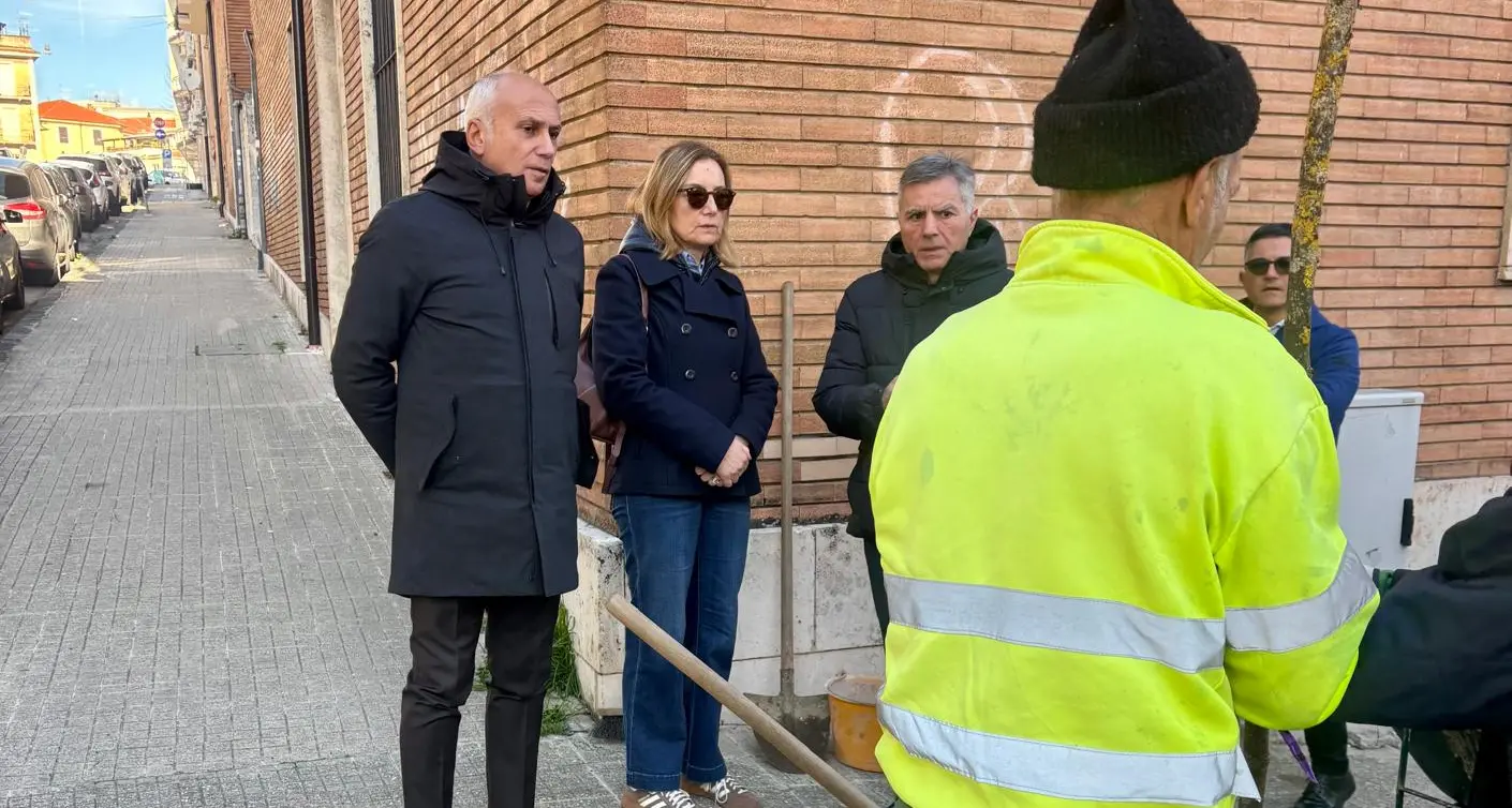 Nuova piantumazione urbana a Cosenza: oltre 2.950 alberi dal 2021\n