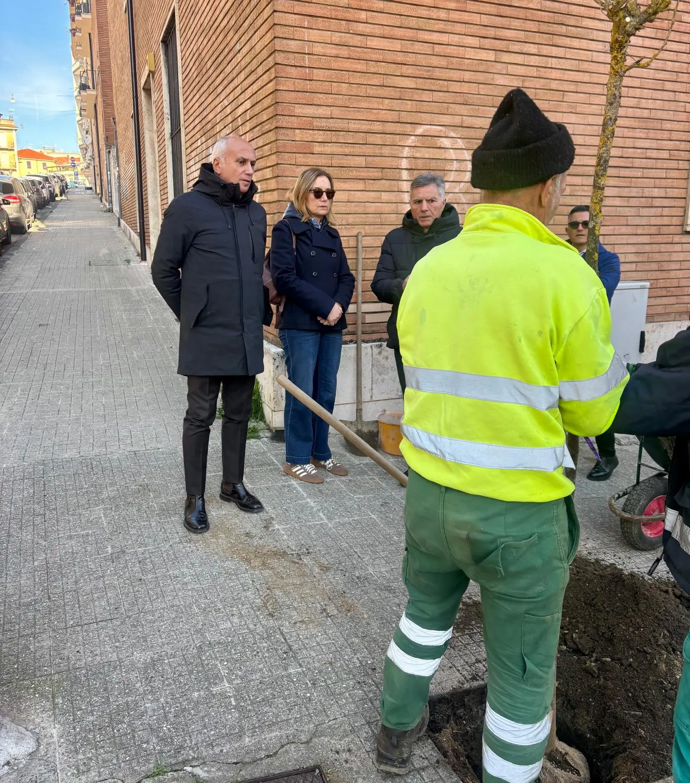 Nuova piantumazione urbana a Cosenza: oltre 2.950 alberi dal 2021\n