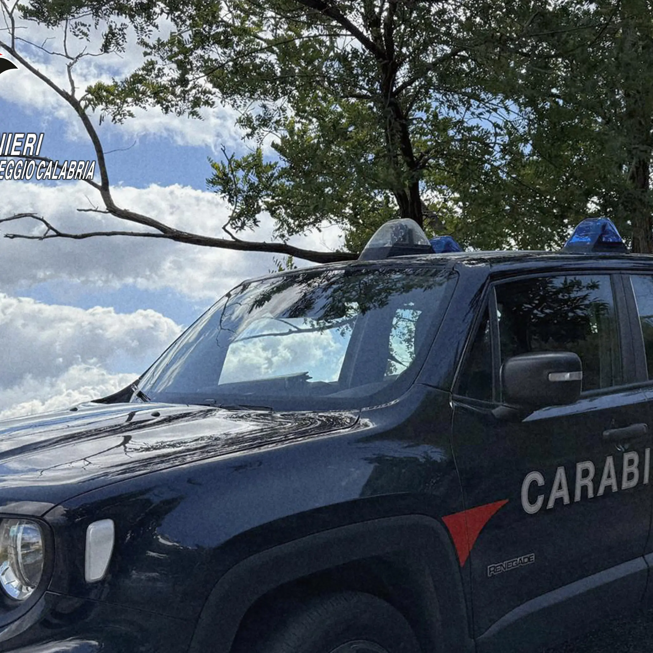 Pesce venduto per strada, sotto il sole e senza refrigerazione: scatta il sequestro a Villa San Giovanni\n