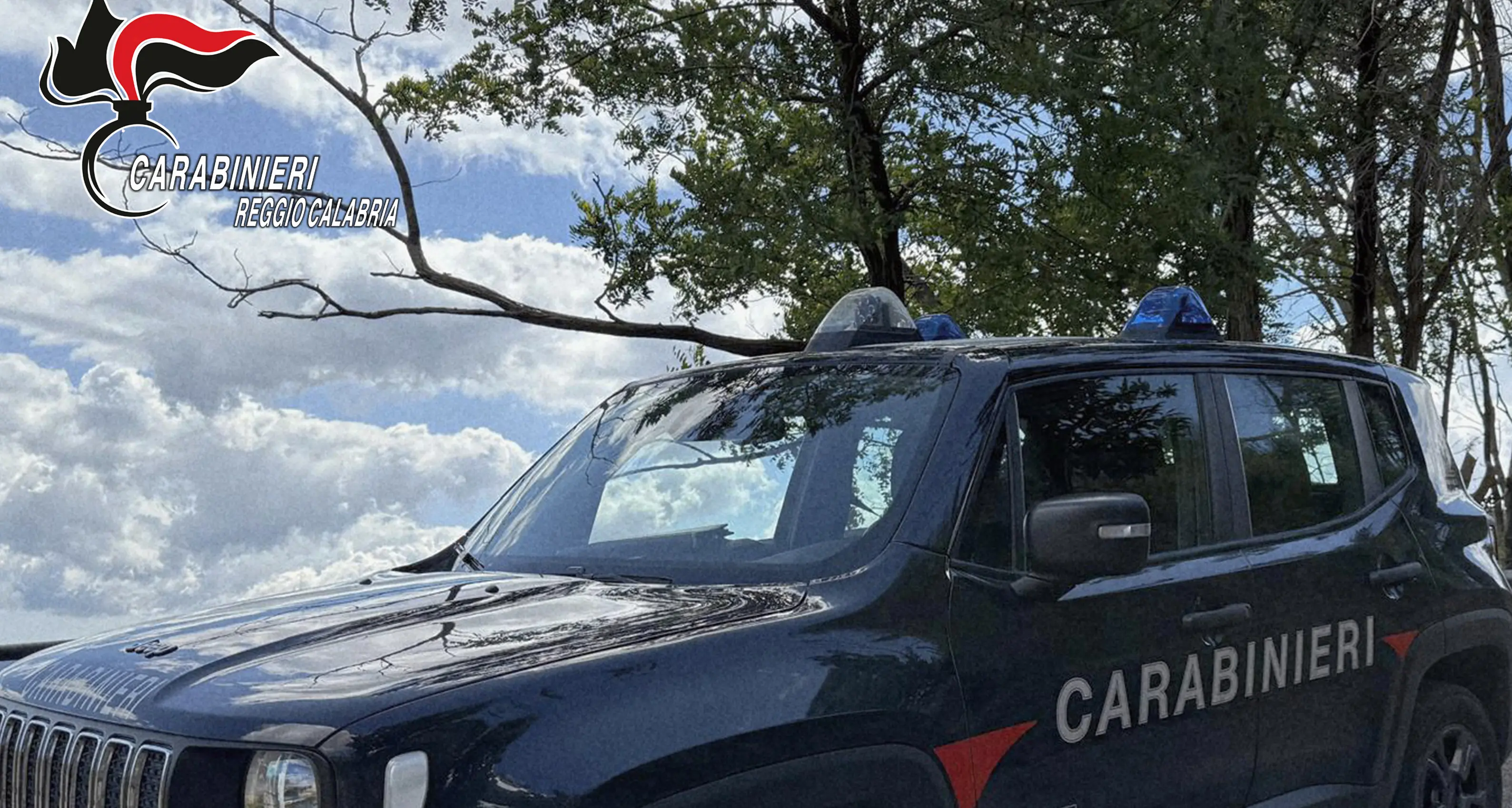 Pesce venduto per strada, sotto il sole e senza refrigerazione: scatta il sequestro a Villa San Giovanni\n