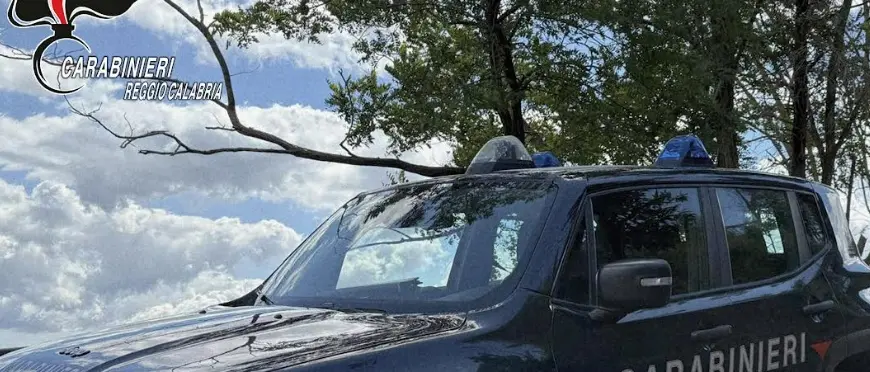 A bordo di un’auto, vendeva pesce per le vie di Villa San Giovanni: nei guai ambulante\n