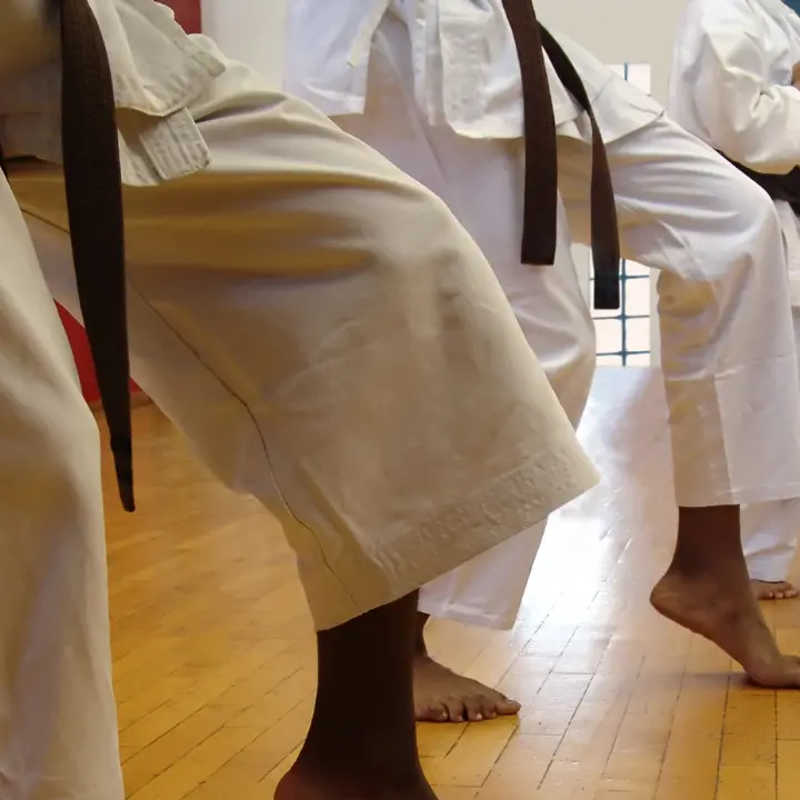 Karate, a Vibo stage con campioni internazionali aperto ad atleti, tecnici e ufficiali di gara\n