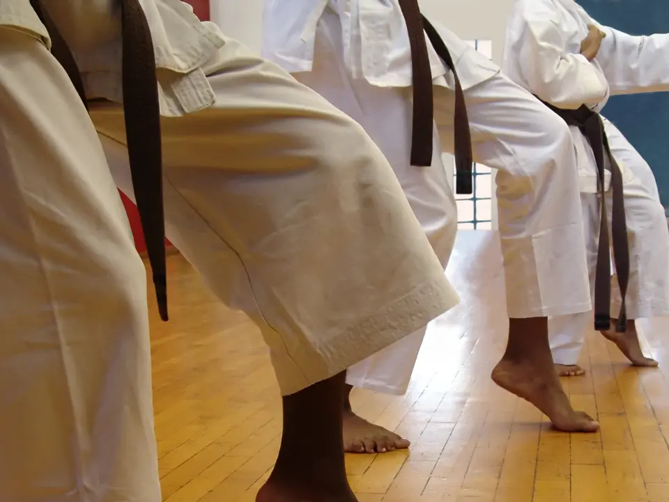 Karate, a Vibo stage con campioni internazionali aperto ad atleti, tecnici e ufficiali di gara