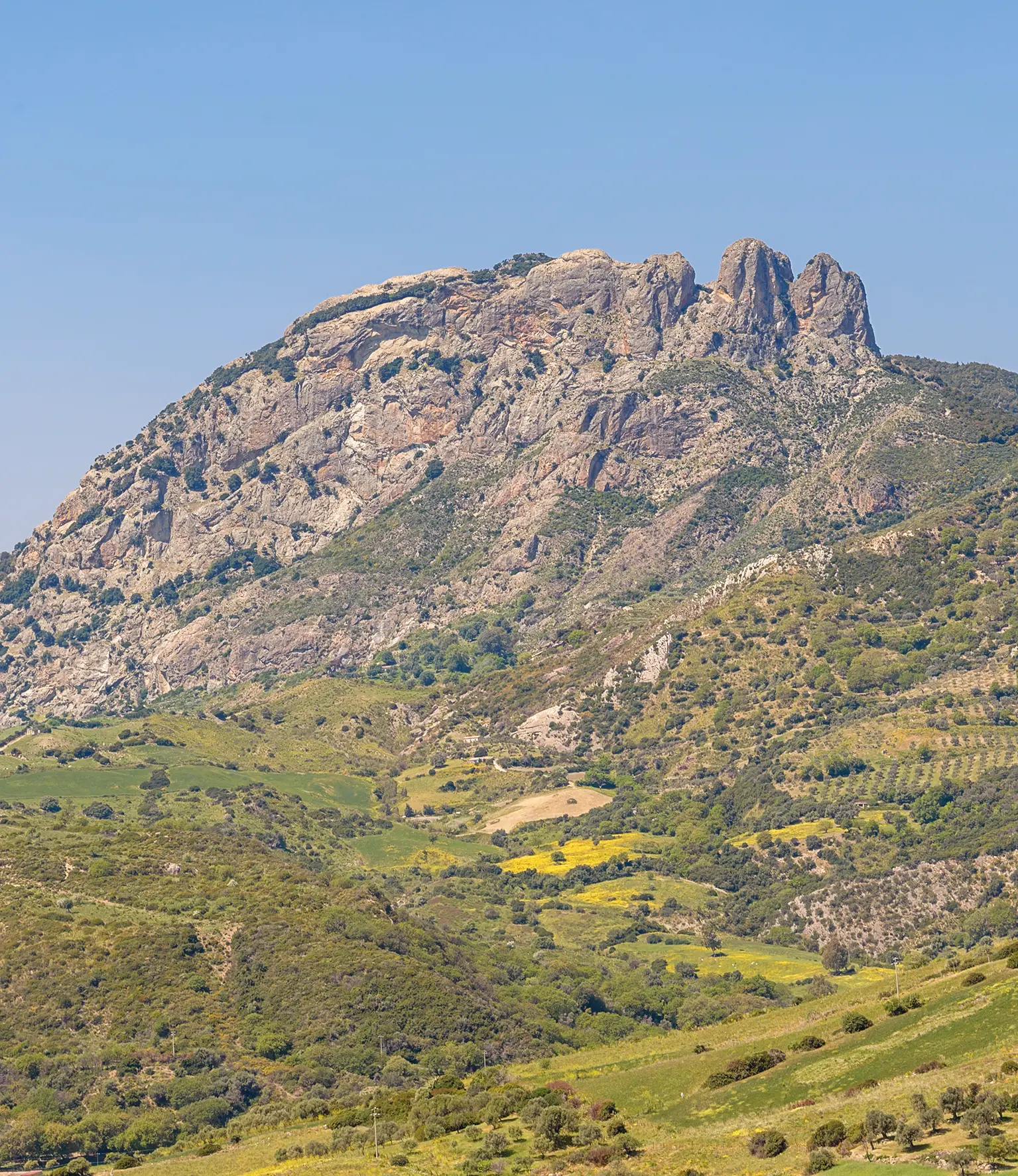 Il 18 gennaio nuova escursione dell’Associazione “Gente in Aspromonte”\n
