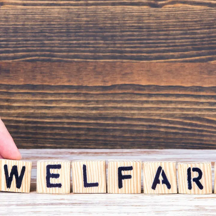 Welfare a Vibo, il bilancio dell’assessore Scrugli: «Conti risanati, nuovi servizi e investimenti sulle periferie»\n