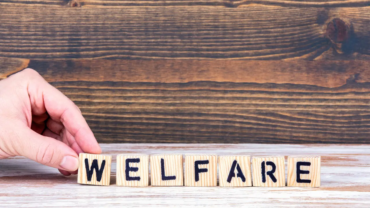 Welfare a Vibo, il bilancio dell’assessore Scrugli: «Conti risanati, nuovi servizi e investimenti sulle periferie»\n