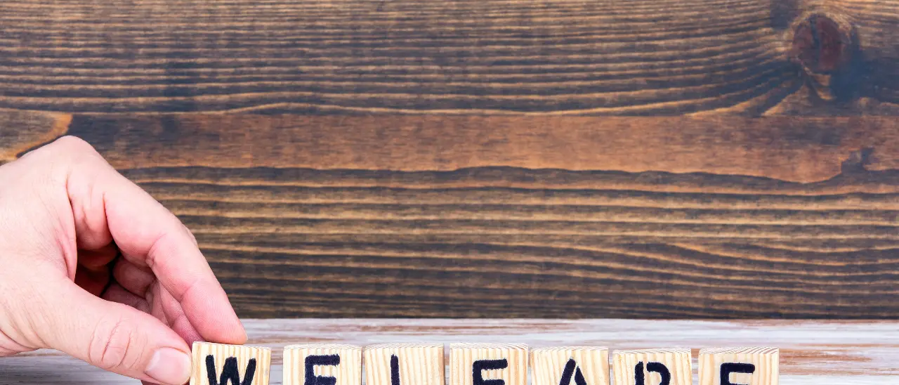 Welfare a Vibo, il bilancio dell’assessore Scrugli: «Conti risanati, nuovi servizi e investimenti sulle periferie»\n