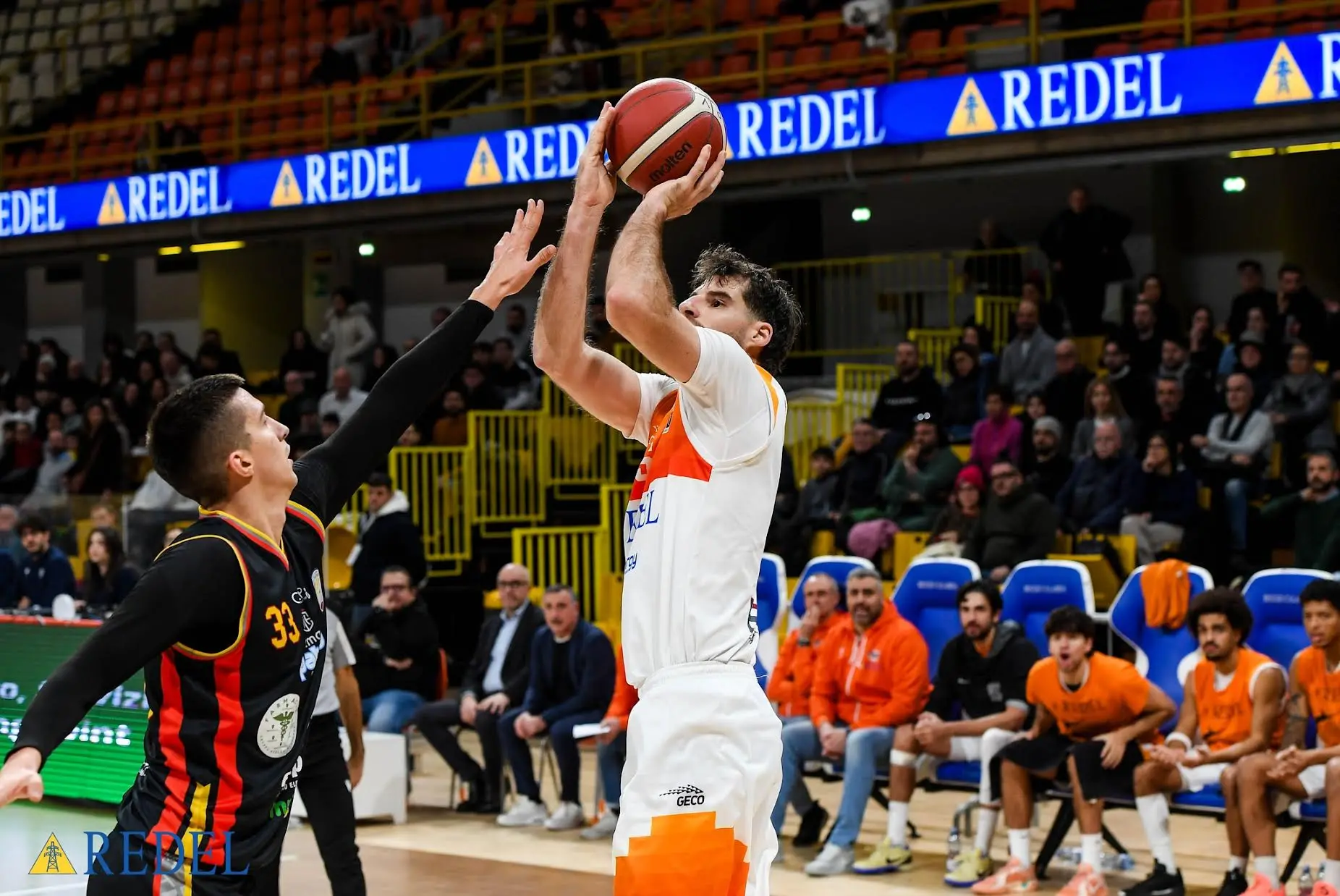 Redel, Marini: «Concentrati verso la sfida con Brindisi»\n