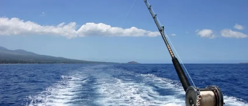 Contrasto alla pesca illegale, Paolillo (FI): «Il certificato digitale Ue costituisce\u00A0un ulteriore passo verso\u00A0la tutela dei consumatori»\n