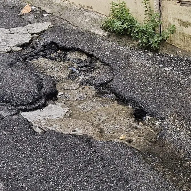 Reggio, degrado in via Villini Svizzeri: «Perdite idriche, lavori incompiuti\u00A0e mancata manutenzione del verde, servizi a singhiozzo»\n