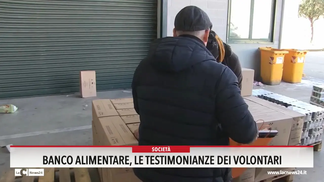 Banco alimentare, le testimonianze dei volontari