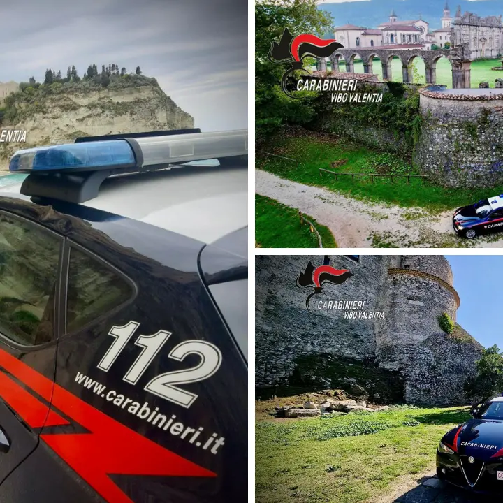 Controlli dei carabinieri nel Vibonese: guida in stato di ebbrezza, droga e armi nel bilancio settimanale\n