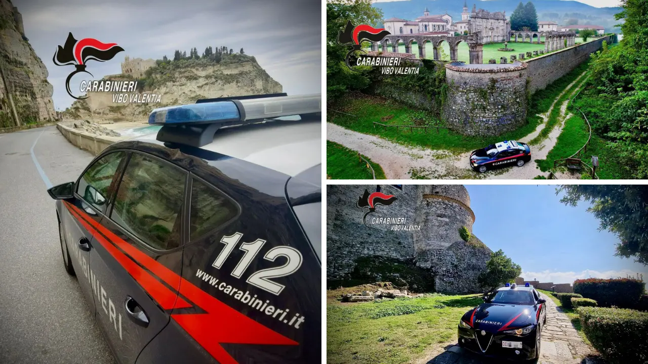 Controlli dei carabinieri nel Vibonese: guida in stato di ebbrezza, droga e armi nel bilancio settimanale\n