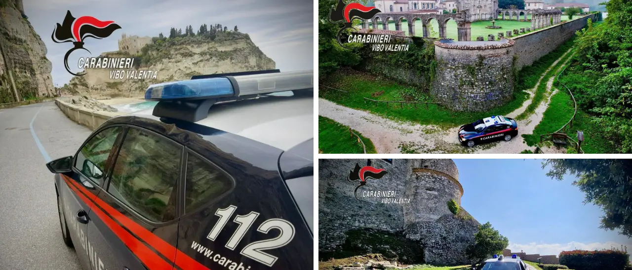 Controlli dei carabinieri nel Vibonese: guida in stato di ebbrezza, droga e armi nel bilancio settimanale\n