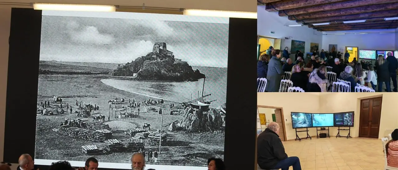 Scalea, la verticalità del tempo e il riscatto della memoria\n