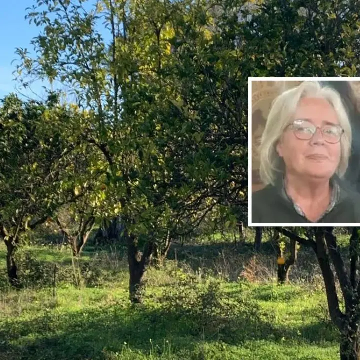 Quintali di agrumi rubati, nel mirino ancora la Tenuta Badia: «Accanimento inaccettabile, ma continuiamo a lavorare»\n