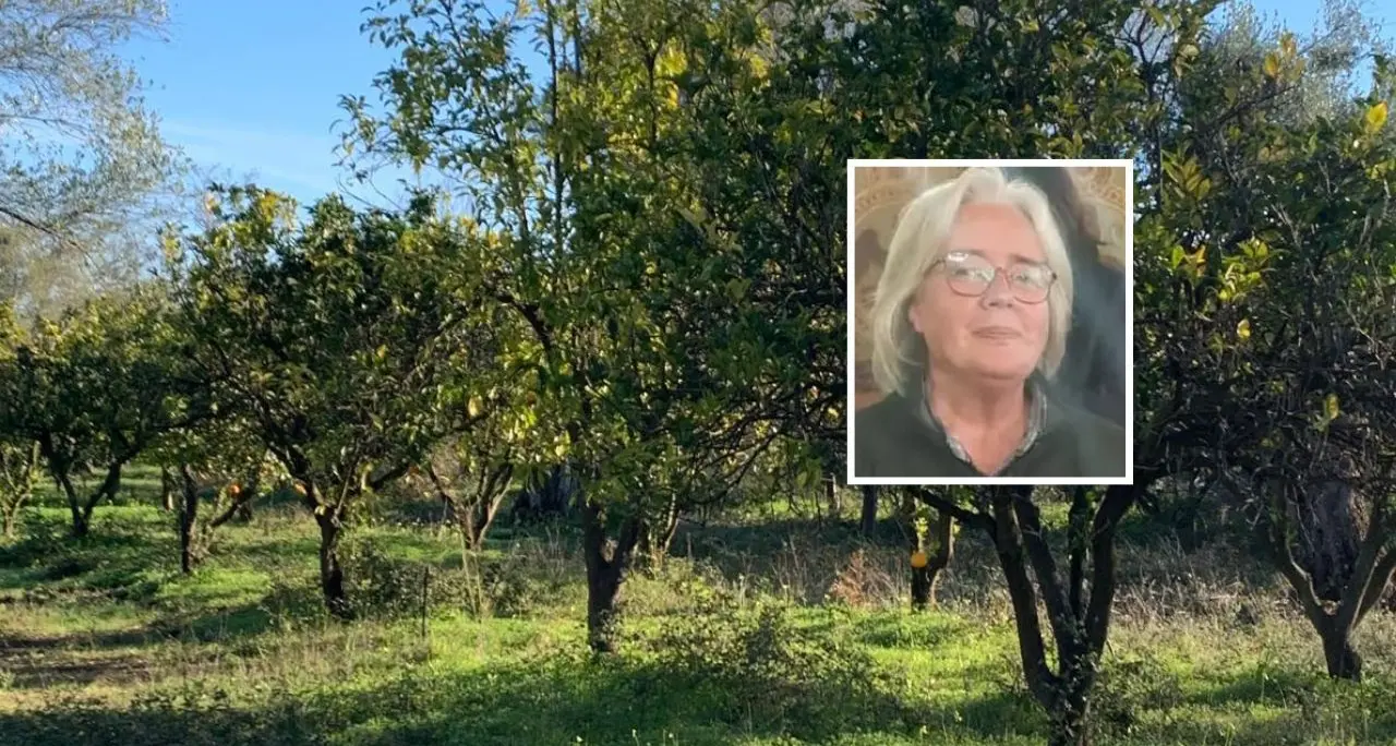 Quintali di agrumi rubati, nel mirino ancora la Tenuta Badia: «Accanimento inaccettabile, ma continuiamo a lavorare»\n