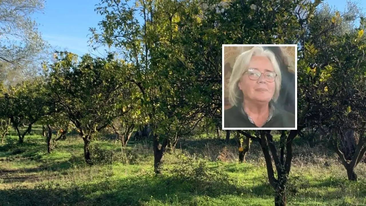 Quintali di agrumi rubati, nel mirino ancora la Tenuta Badia: «Accanimento inaccettabile, ma continuiamo a lavorare»\n