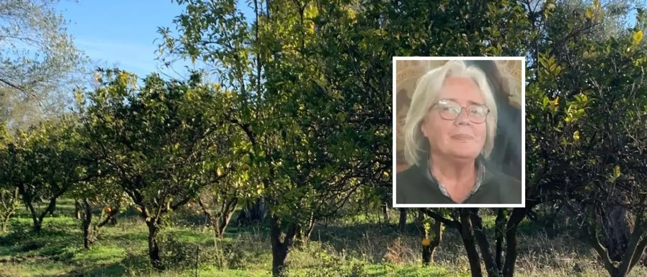 Quintali di agrumi rubati, nel mirino ancora la Tenuta Badia: «Accanimento inaccettabile, ma continuiamo a lavorare»\n