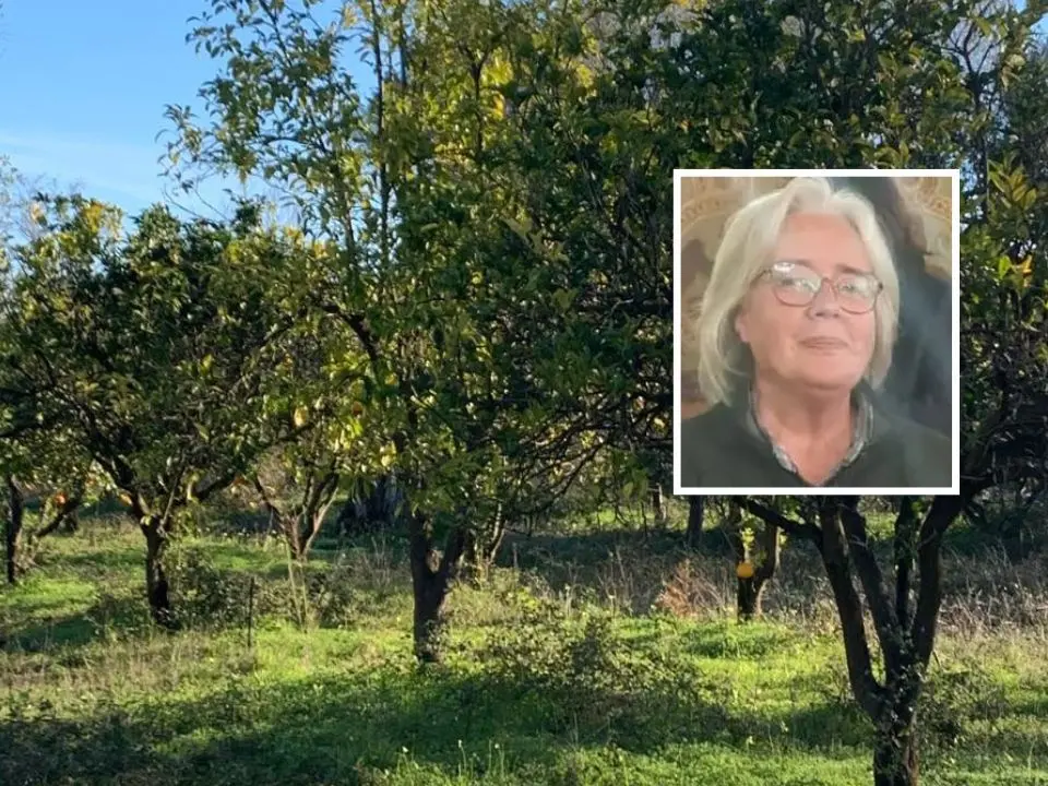 Quintali di agrumi rubati, nel mirino ancora la Tenuta Badia: «Accanimento inaccettabile, ma continuiamo a lavorare»