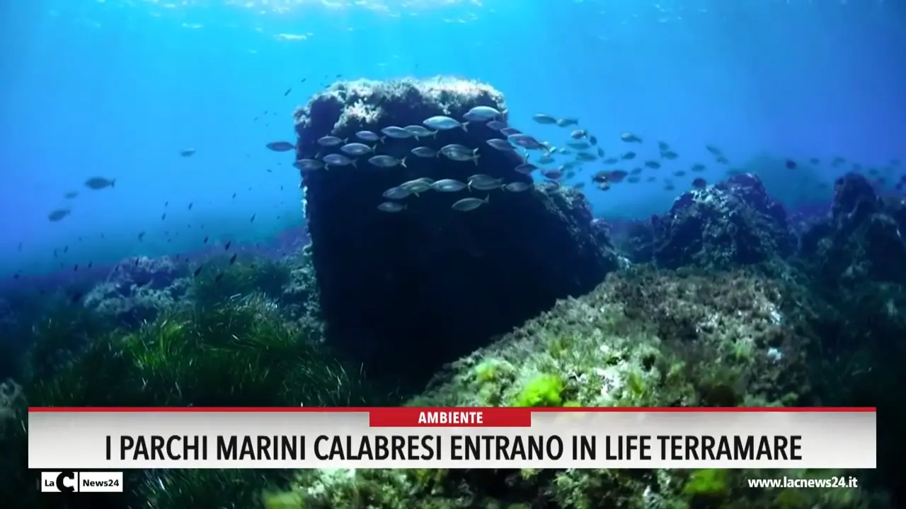 I parchi marini calabresi entrano in Life Terramare