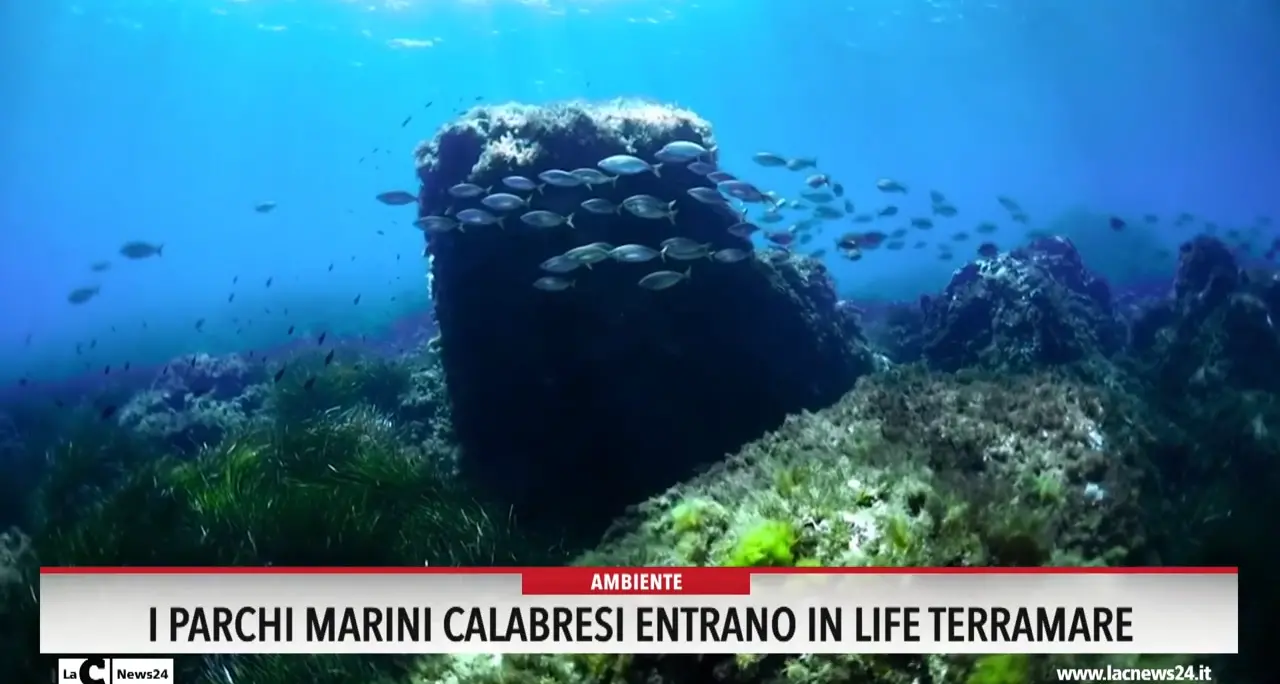 I parchi marini calabresi entrano in Life Terramare
