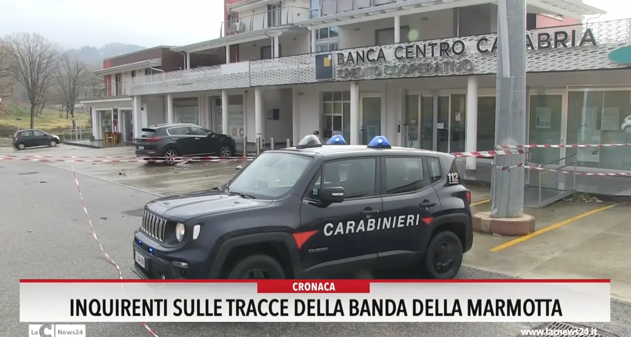 Colpo ai bancomat, inquirenti sulle tracce della banda della marmotta